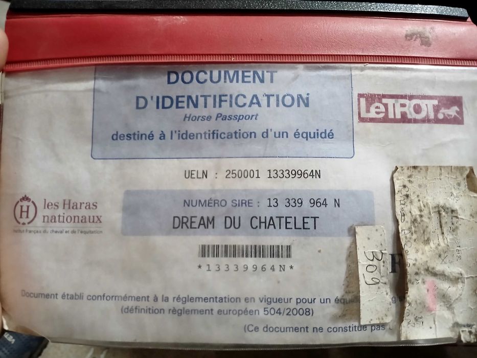 Cal trapasi de vânzare