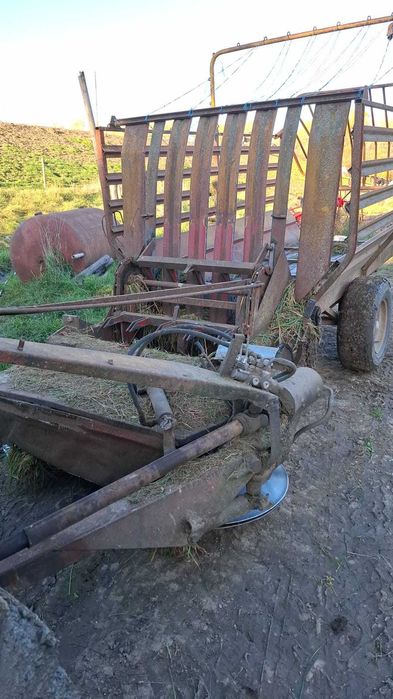 Cositoare masa verde