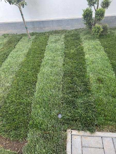 Serviciu de montaj gazon natural si rulou