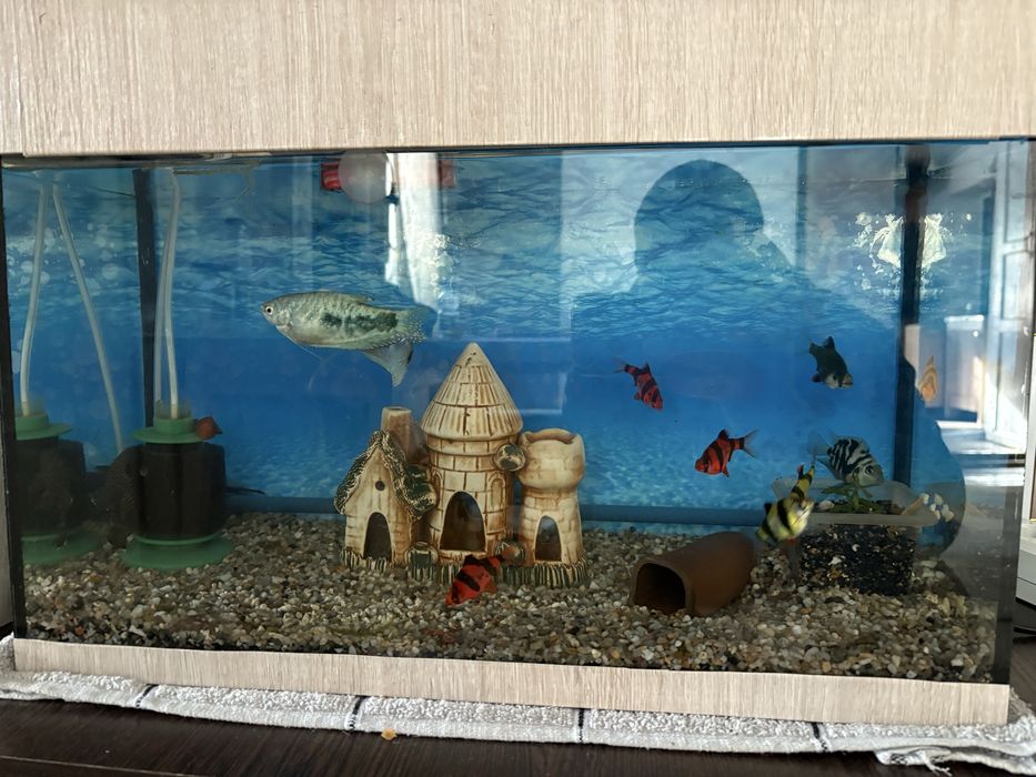 Продам готовый аквариум