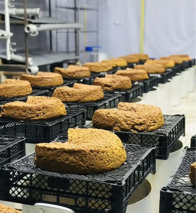 Иримшик,Курт,Сары Май, Масло сливочное,Сметана,Каймак,Тары Талкан,Жент