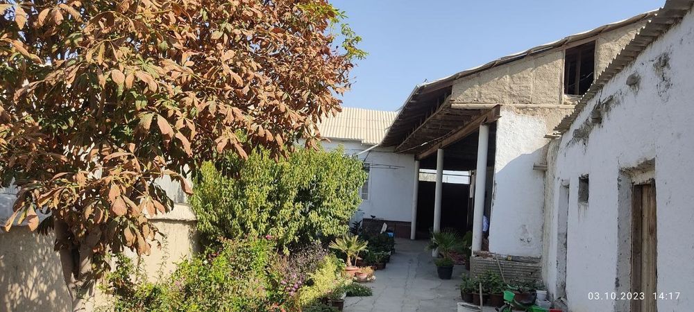 Навоий вКармана туман Уйрот махалласи уйрот кучаси 103 уй келишилган х