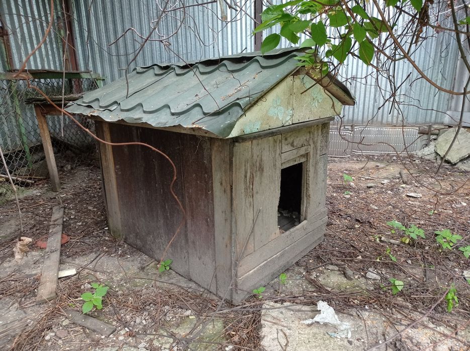 Продам собачью будку