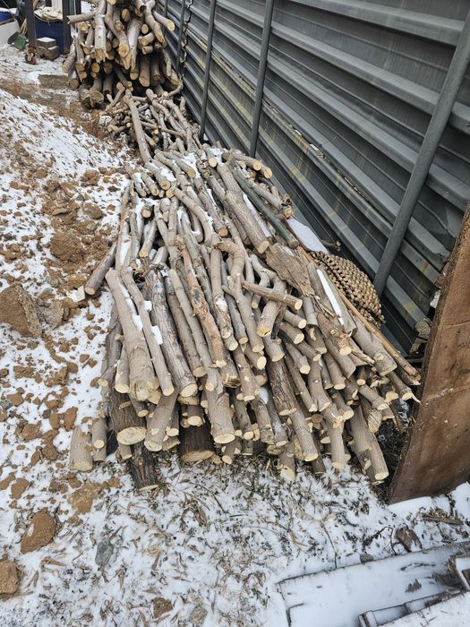 Дрова бревна клен карагач