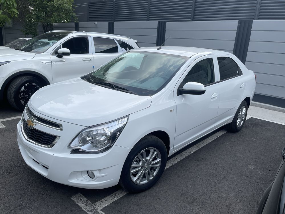 Yangi Oq Style Cobalt 2025