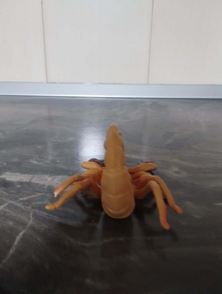 Scorpion de colecție