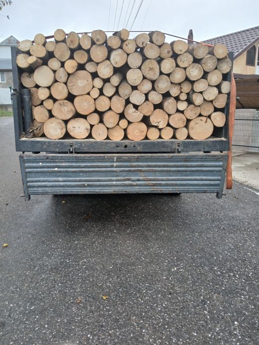 Vând lemne pentru foc fag