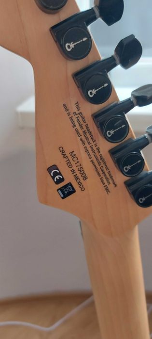 Fender/Charvel/Mad Professor/Boss