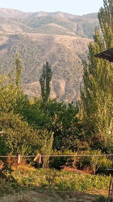 Земля большое 24