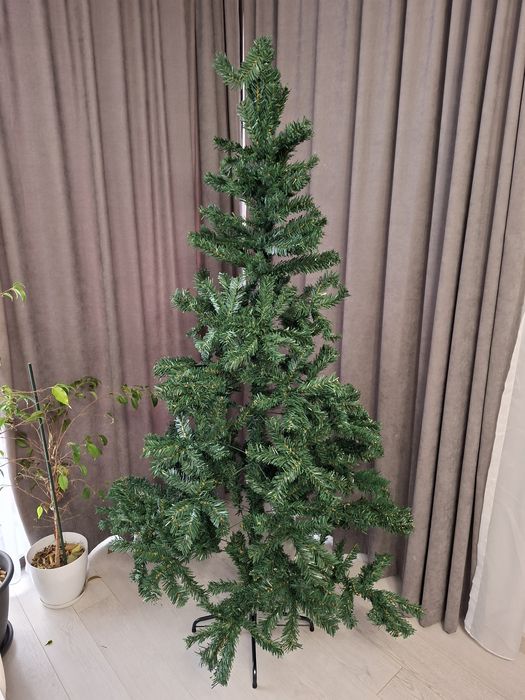 Коледна елха гъста