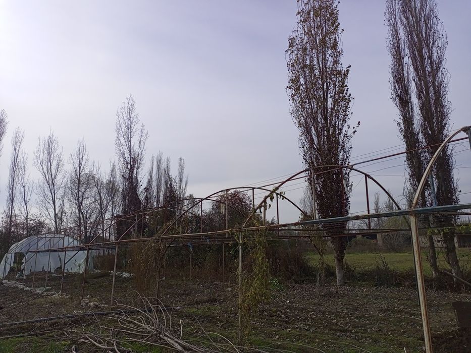 Parnik pirofildan tayyor parnik sotiladi