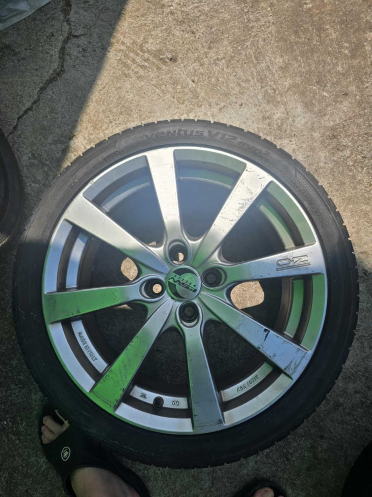 OZ michelangelo 8
