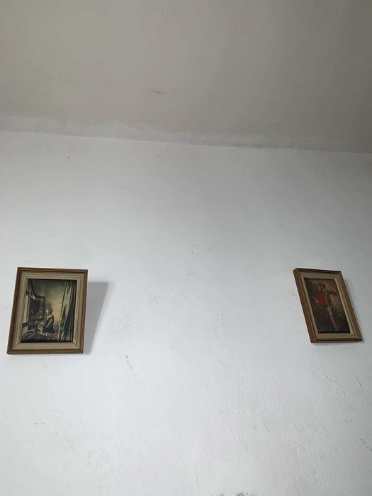 Tablou pictura pe matasa