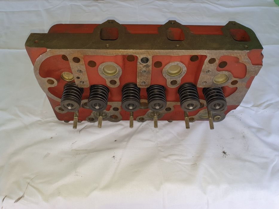 Chiuloasa asamblata U445