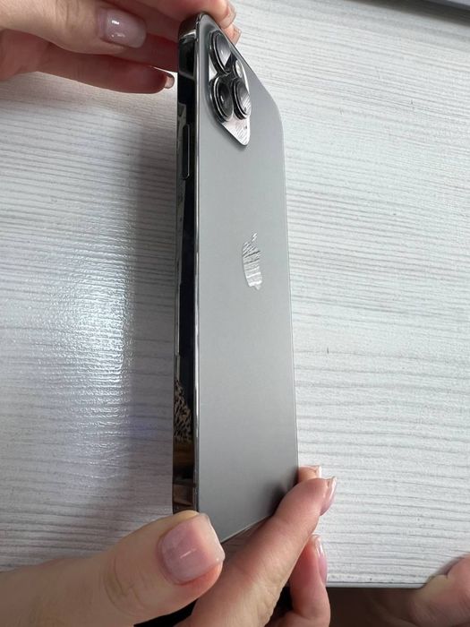 iPhone 12 Pro Max • 256 GB