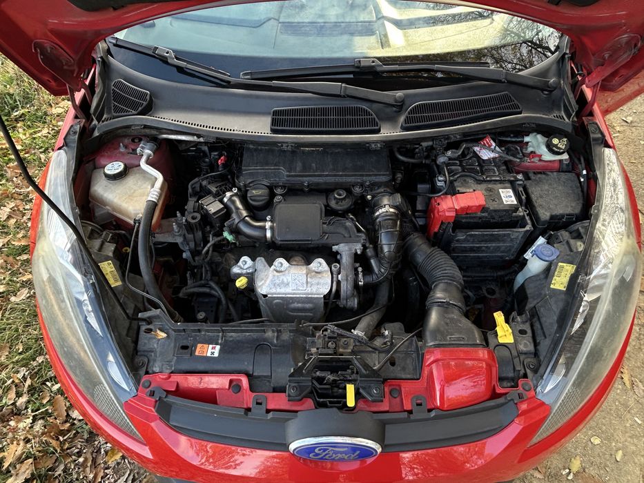 Vand Ford Fiesta 2009