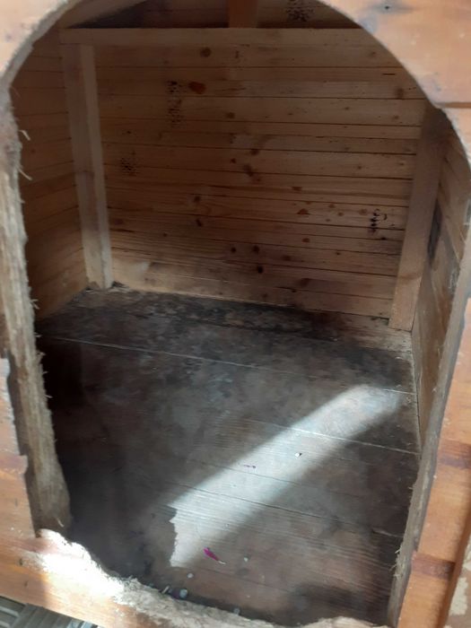 Cușca caine ieftina