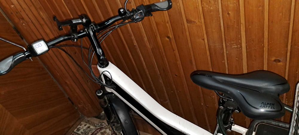 Bicicleta electrica Riese Muller