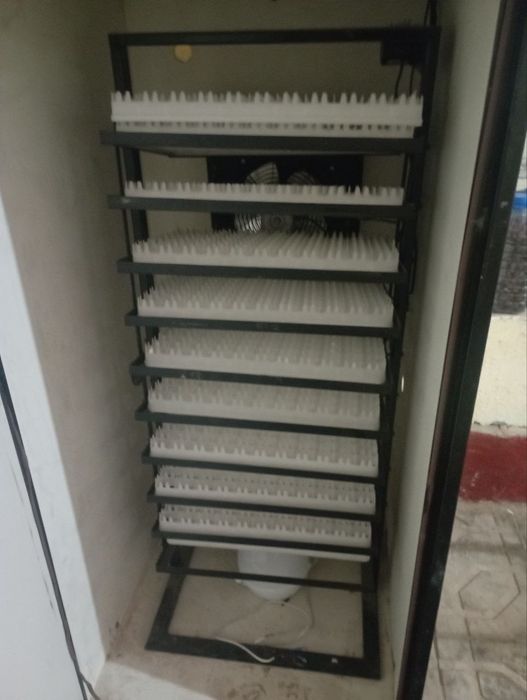 Инкубатор 1000 талик