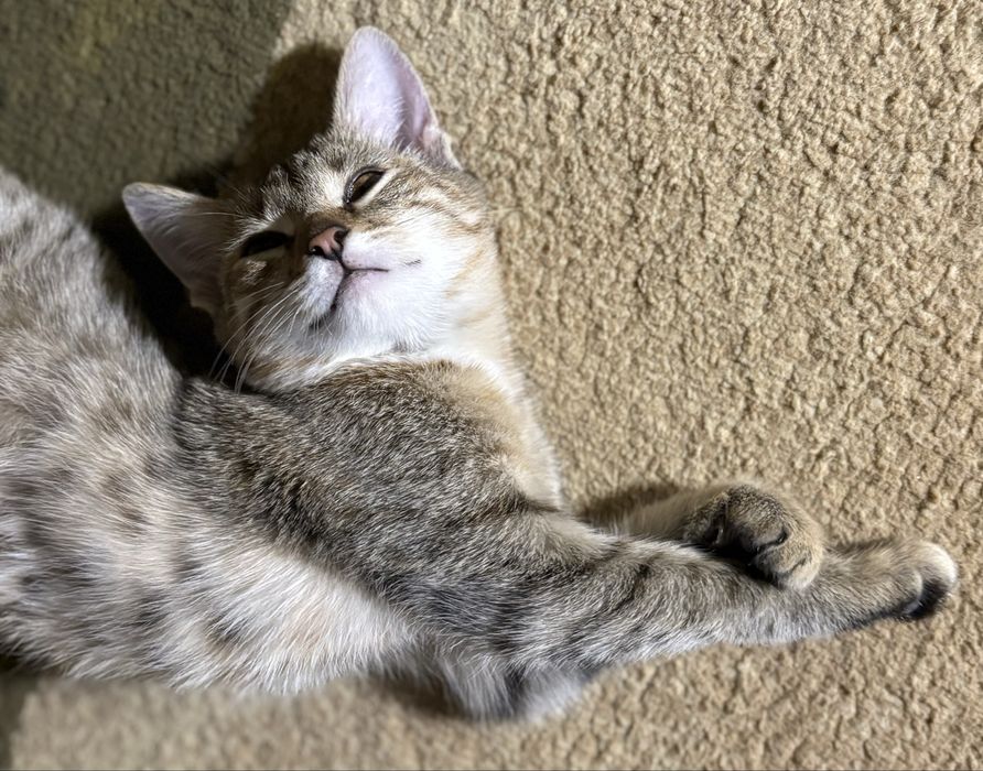 Только ответственным