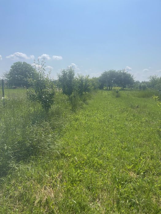 Teren intravilan Turcinesti