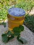Vand miere de rapita și poliflora cu amorphă, tei, floarea-soarelui