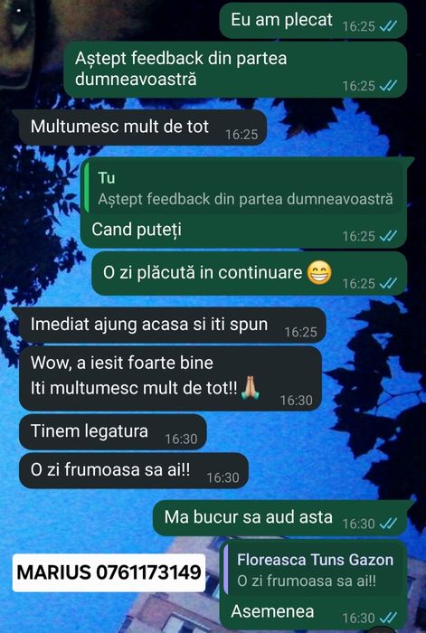 Servicii de tuns iarba,gazon,defrisari,curățat terenuri,copaci Bucures