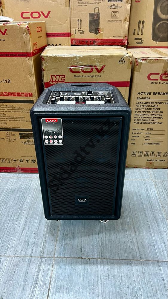 PRO портативная акустическая система COV KW218  150watt