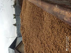 Пивная дробина (Барда)