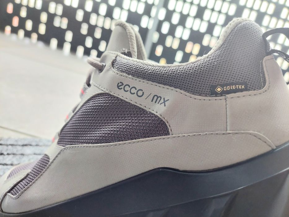 Pantofi barbati ecco mx Goretex