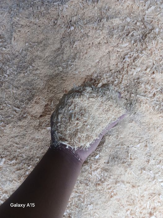 Апилка от пилорам