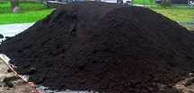 Pamant negru vegetal