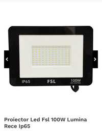 Proiector Led Fsl 100W Lumina Rece Ip65