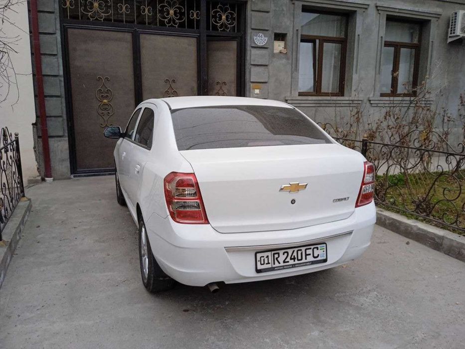 Cobalt Euro variant 2023