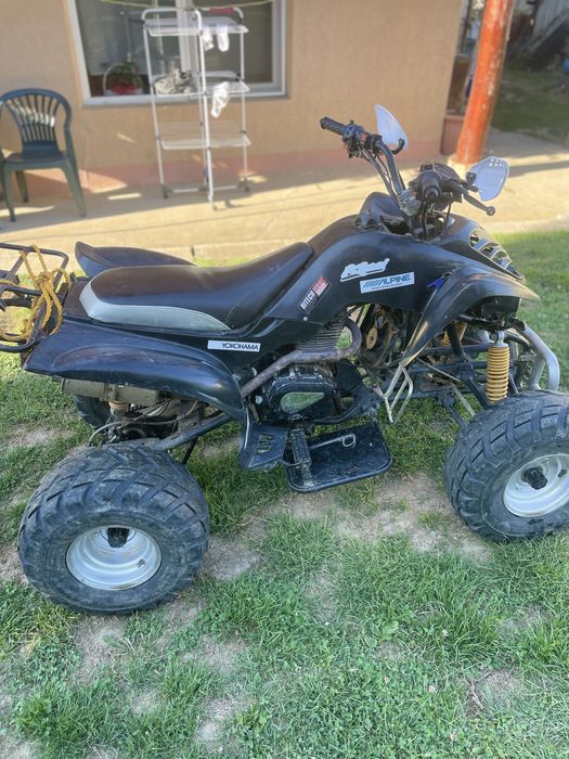 Avt bashan 240cc de vanzare
