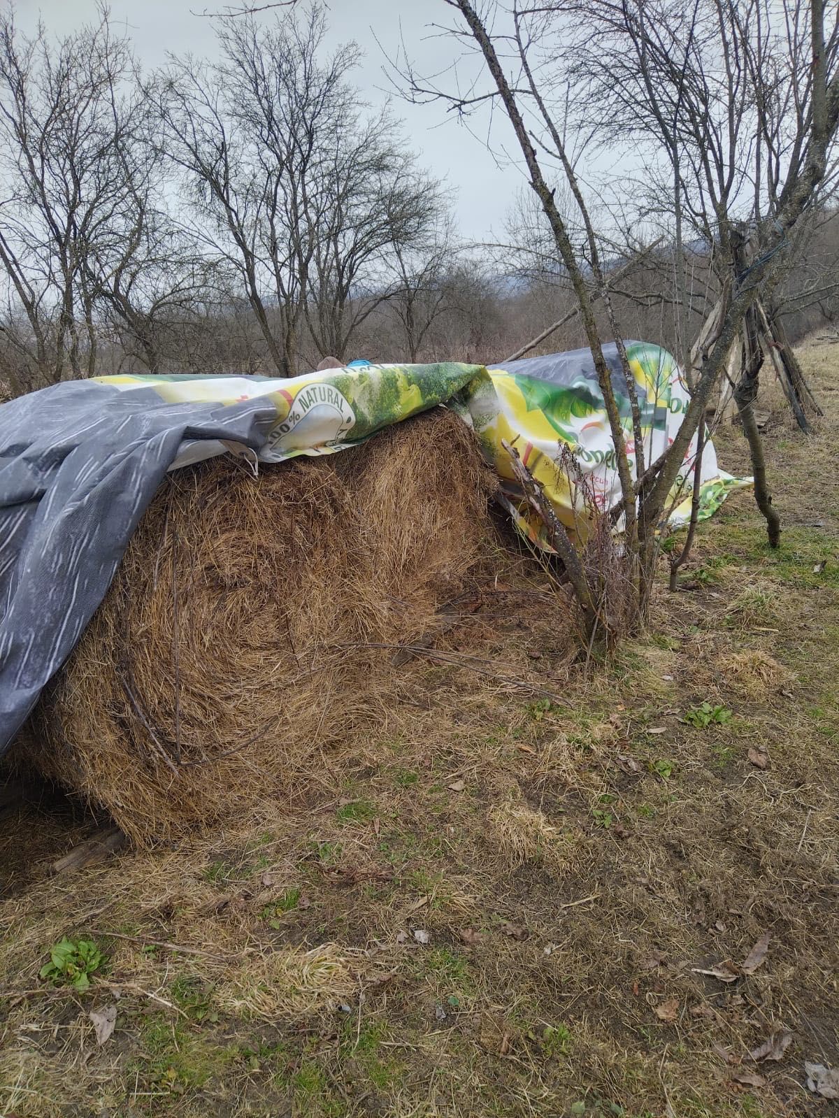 Super ofertă ! 14 baloți de fân de vânzare