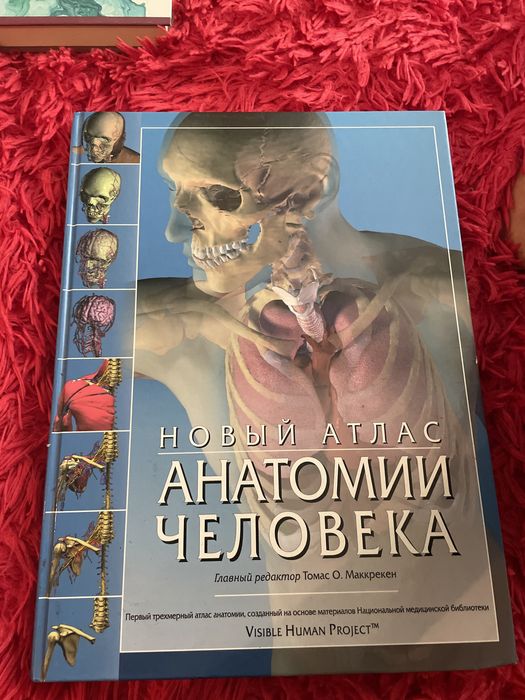 Новый Атлас  Анатомий Человека