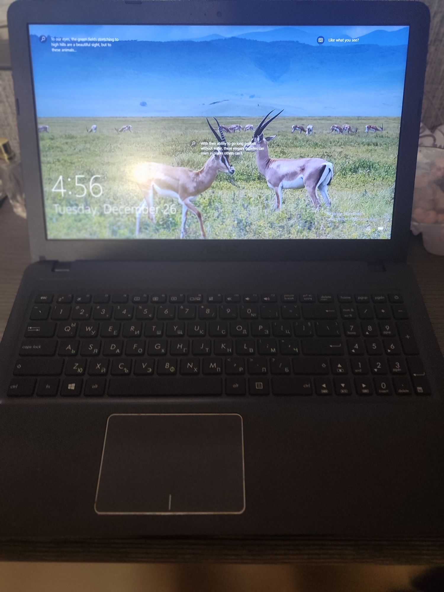 Лаптоп Asus VivoBook