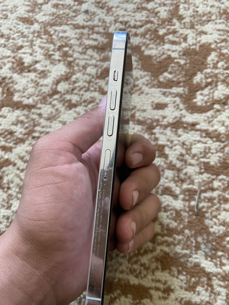 iphone 13 pro max srochni!