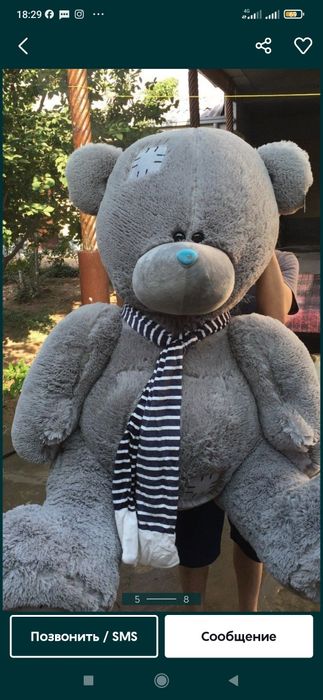 Teddi Teddy ayiqchalar (50sm 3m)