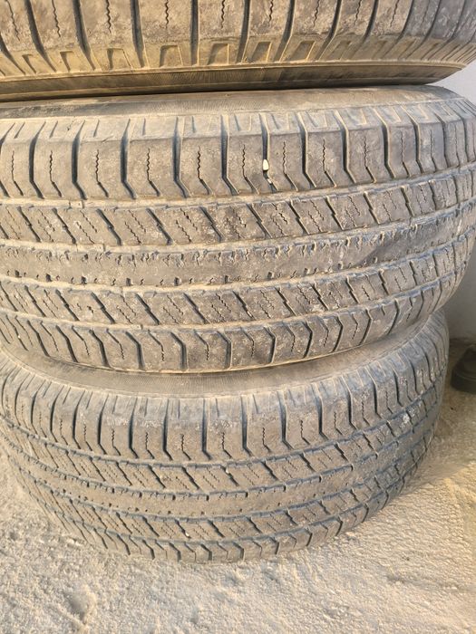 Диск с ризиной...