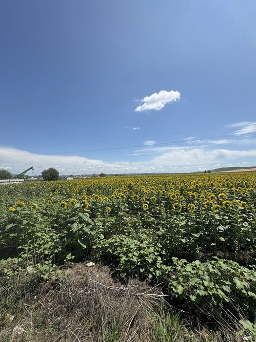 Teren intravilan in Parc logistic Badeni