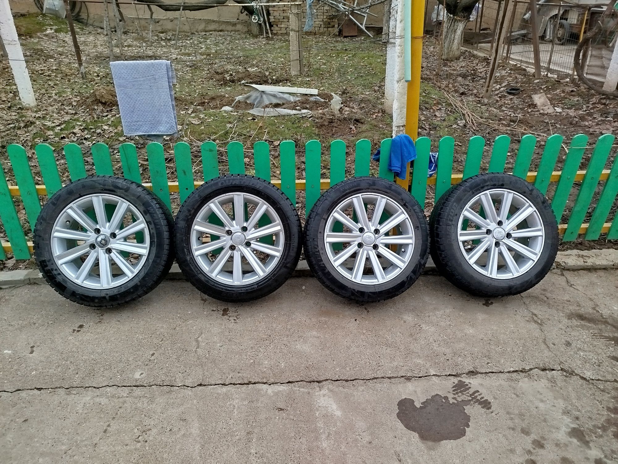 Камрики дикасы р15