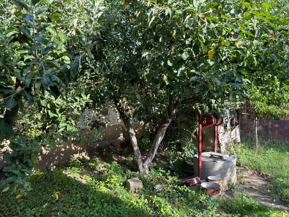 Casă de vânzare cu grădină și viță de vie în Abrămuț – nr. 103