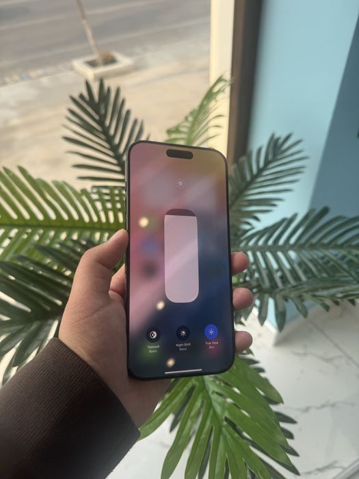 Iphone 16 Pro Max 2 SIM 256gb