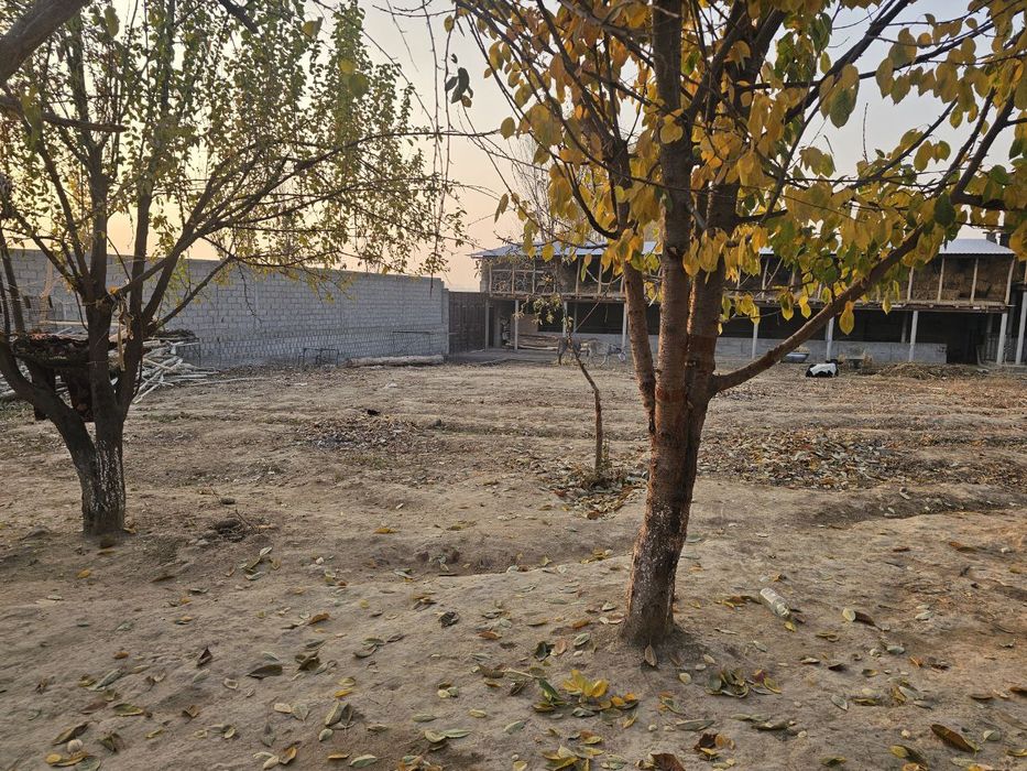 Mol uchun tayyor ferma maydoni sotiladi