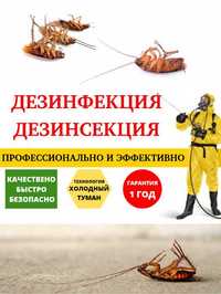 Дезинфекция Уничтожение клопов тараканов муравьев вшей крыс мышей блох