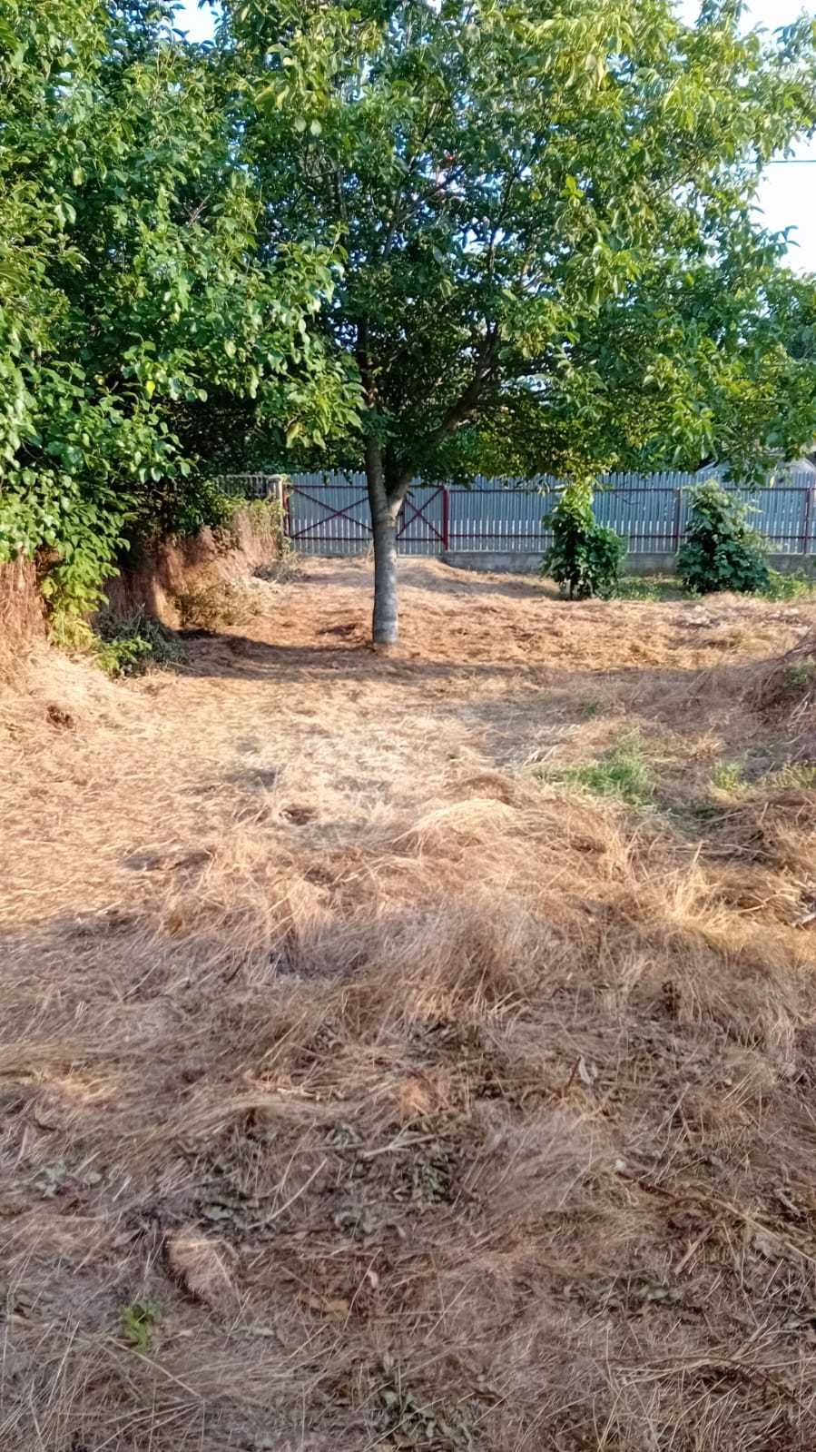 Casă din cărămidă - Vetrișoaia, Bumbăta - VS