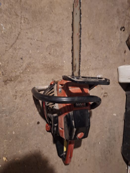 Vand drujba de vanzare