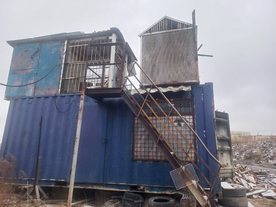 Голубятня вместе с голубями+курятник контейнер